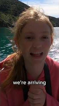 Best Mail Commute Ever!!😍🐬