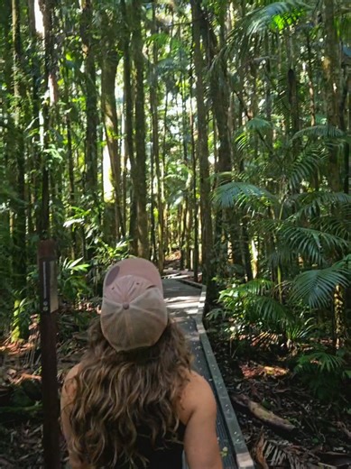 Exploring Top Camping Destinations in NSW