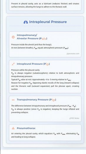 Pleural Membranes and Intrapleural Pressure