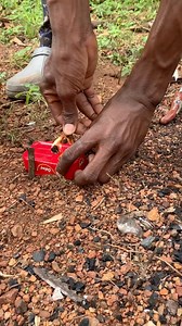 1.4M views · 6.5K reactions | How to survive with sardines can #outdoors #tricks #survival #lifehack #bushcraft #Mandiya #camping | Joseph Mandiya | Facebook