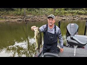 Table Rock Lake Video Fishing Report September 25, 2023 short