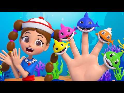 Baby Shark | Finger Family & Surprise Eggs! 🦈🔨 BANG BANG BANG | Nick and Poli Cartoons