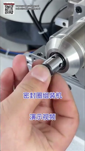 Automatic O Ring Assembly Machine for Pneumatic Components and Sealing Solutions