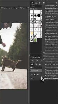 Add alpha channel in GIMP