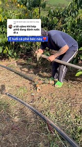 988K views · 8.8K reactions | Nay em test béc thành phát và py40 đời cổ cho các Bác xem nhé em chúc mọi người sức khỏe vui vẻ nhiều tiền, Bà con Nông Dân năm tới có 1 mùa cà phê bội thu , bán được giá cao nhất  | Nguyễn Thắng Bảo LỘc | Facebook