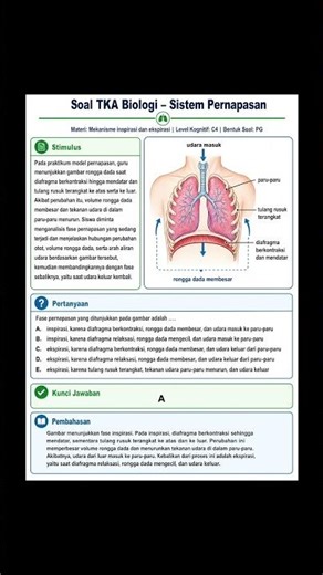 Soal TKA Sistem Pernapasan yuk disimak #gurubiologi #soaltka #tkabiologi