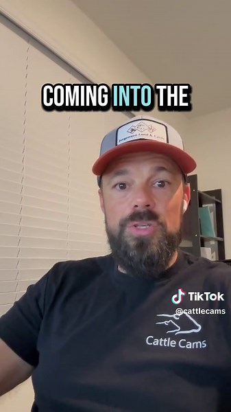 Best Cameras for Watching the Farm During Calving Season