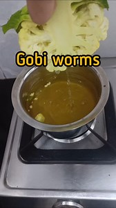 5K views · 12 reactions | Deworming Gobi, cabbage #shortsfeed ```...