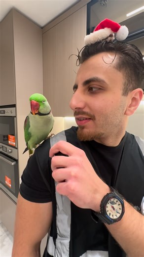 Rennovate Your Home on Instagram: "Merry Christmas from Rennovate!🎅🏻 Santa’s quality inspector signed this kitchen renovation off.. Comment SANTA if you want a kitchen like this! #Kitchenrenovation #Christmas #Kitchendesign #Homeimprovement"