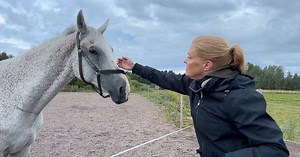 Ridskolan vädjar om hjälp från kommunen: ”Handlar om tjejer”