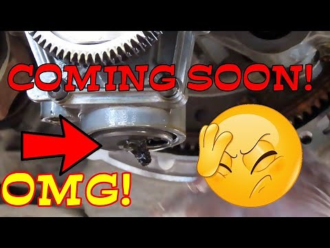 Poor designing led to this failure! 2018-2021 Ford EcoSport Oil Pump Belt