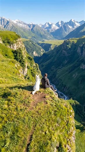 A man travels with his dog to the mountains to reset his emotions.