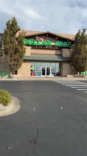 DollarTree Craft on Instagram: "DollarTree Christmas DIY 🎄🤶 TikTok/thecraftesstudioco #dollartreecrafts #dollartree #dollartreefinds #dollartree #dollartreegadgets #dollartreecommunity"