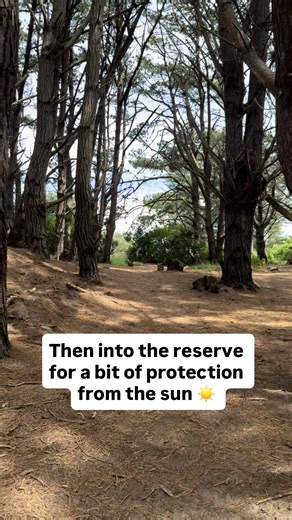 Slowly finding local tracks and creating run routes around Ōtaki. Today’s adventure took in some river trail and finished through the pine forest reserve, 10km of varied terrain and a fun patch in the middle with my Tuesday running friends 😍 It’s neat to have routes you can run from home, it helps with motivation if you can just chuck on your shoes and head out. I’ll need to stock up on ice blocks over summer if today’s running heat is an indicator of the coming months though 🥵 #lifeinmotionru