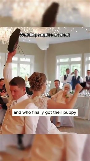 The best wedding surprise moment #wedding