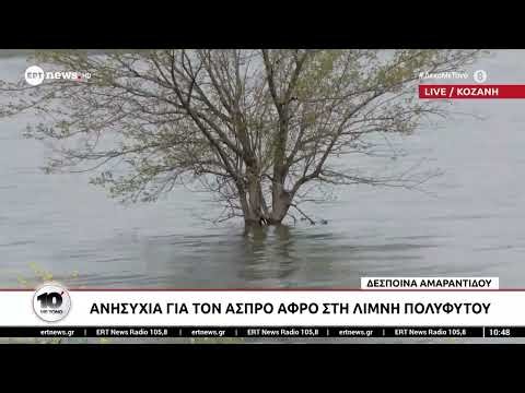 Ανησυχία για τον άσπρο αφρό στη λίμνη Πολυφύτου
