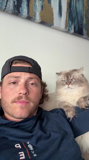 Hilarious Moments with Gus the Cat
