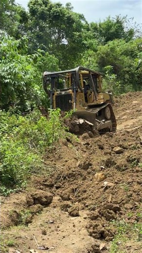 Optimization of Plantation Roads with the D6R XL Bulldozer
