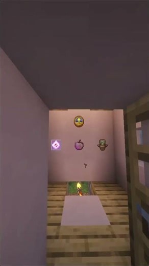 Minecraft Hidden Frame 🤫🖼️