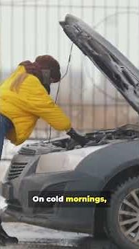 Why Your Car Squeals at Startup (Simple FixIt)