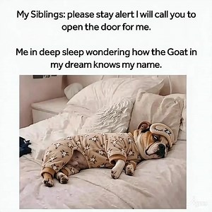 Goat Knows My Name? Deep Sleep Meme Explained