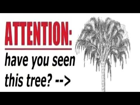 ATTENTION