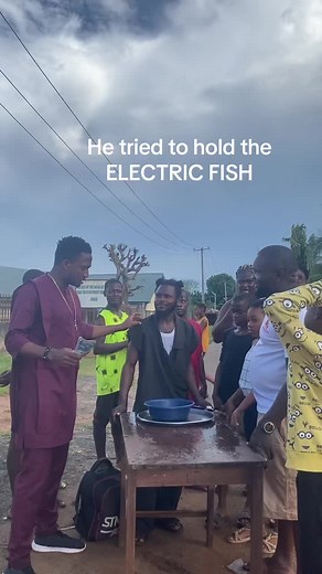 Electric Fish Encounter: Shocking Moment Captured