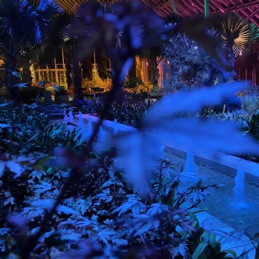 Take a captivating evening journey in our Gardens, where nature and light collide to create pure magic. Let the glow guide you. | Longwood Gardens