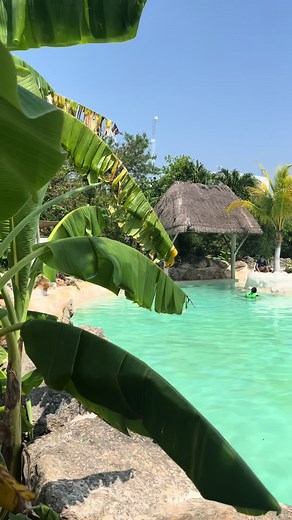 Escapa al Calor en Nuestro Cenote en Yucatán