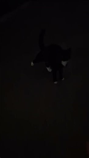 What happens when the butler gets off work?