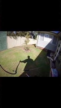 Red belly black snake hiding in a pump box what a beauty Australian native reptiles