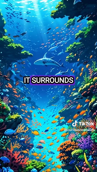 Dive into the depths of the Southern Ocean, Earth's newly recognized fifth ocean! 🌊 This ocean holds secrets crucial to climate science, unique ecosystems, and the story of our planet. Are you aware of its significance? Let's explore together! #SouthernOcean #ClimateChange #MarineLife #NationalGeographic #Oceanography