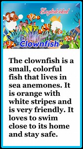 20K views · 550 reactions | Clownfish #clownfish #reading | English4kid | Facebook