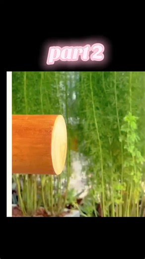 Part 2 of the Exciting New Video Series