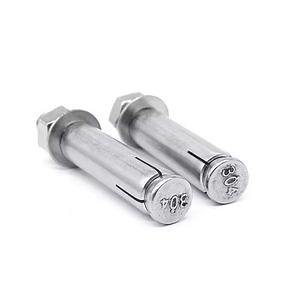 [Hot Item] Customized High Quality 304 Stainless Steel Expansion Bolts