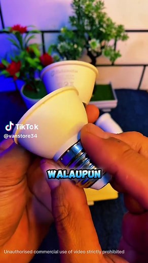 Exploring Halogen and LED Lamps