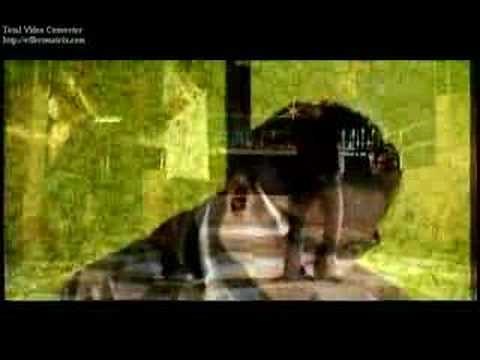 Honduras - La Gran Banda - Chiquilla, Chiquilla