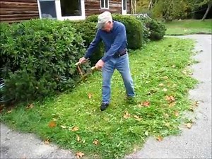 Lawn Mowing with a Scythe