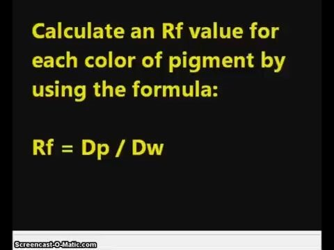 🧪Paper Chromatography - Chemistry Experiment with Mr Pauller