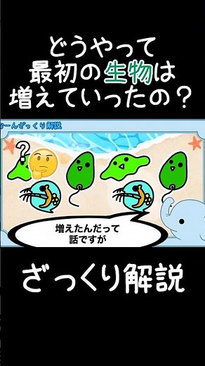 【意外と知らない】最初の人類はどのようにして増えていったのか #ざっくり解説 #ゆっくり解説 #雑学