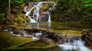 Top 10 CASCADE din România care îţi vor încântă privirea