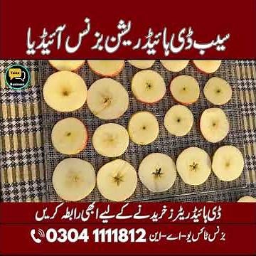 Apple Dehydration Machine Process | How to Make Premium Dried Apples for Profit Business