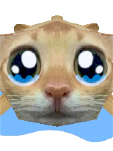 Wa wa wa Cat Memes and 3D Animations