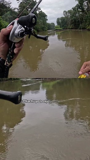 Pikachu en la Pesca: Una Aventura Acuática