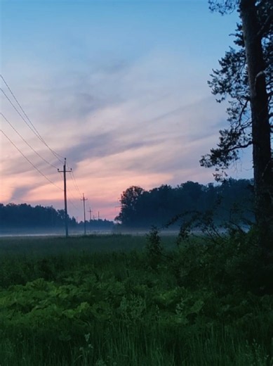 nature 141 forest: calm nature scenes and outdoor ideas