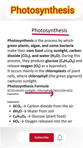Learn Photosynthesis Fast | Biology Made Easy#shortvideo #studycore