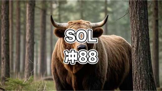 2026.3.31 SOL行情分析 SOL 防守81 冲88