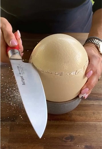 How to Cook and Enjoy Ostrich Eggs