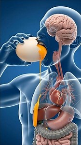 a man eating egg , with crunchy food sound 😘 #3danimation
