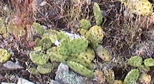 Prototype1.one | Prototype Game